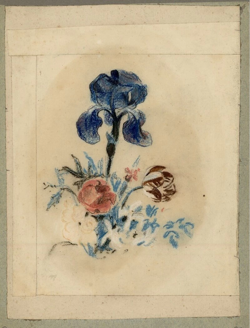 Studio di fiori - Iris